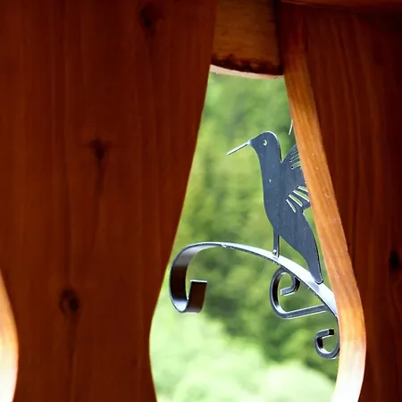 ホテル La Sapiniere St Lary Soulan 3*