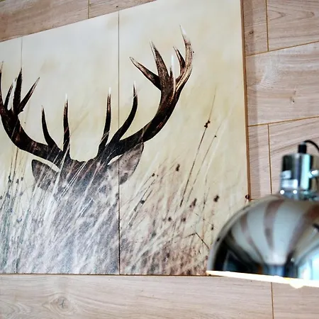 La Sapiniere Hotel Saint-Lary-Soulan